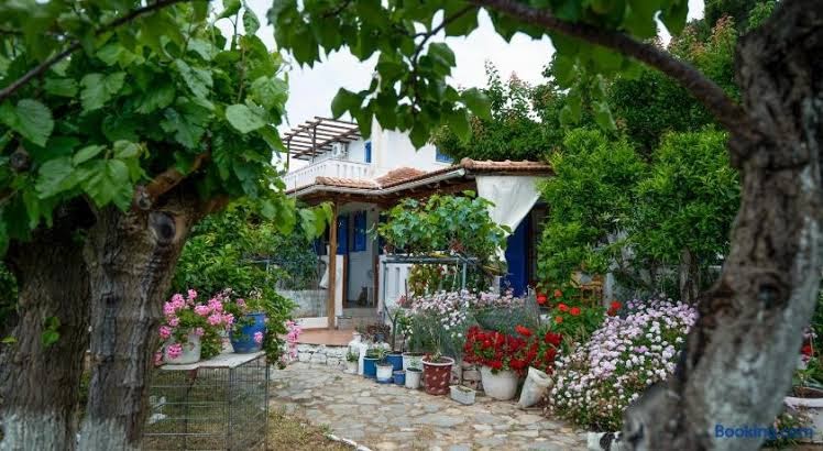 Alonissos Beach Bungalows And Suites Hotel