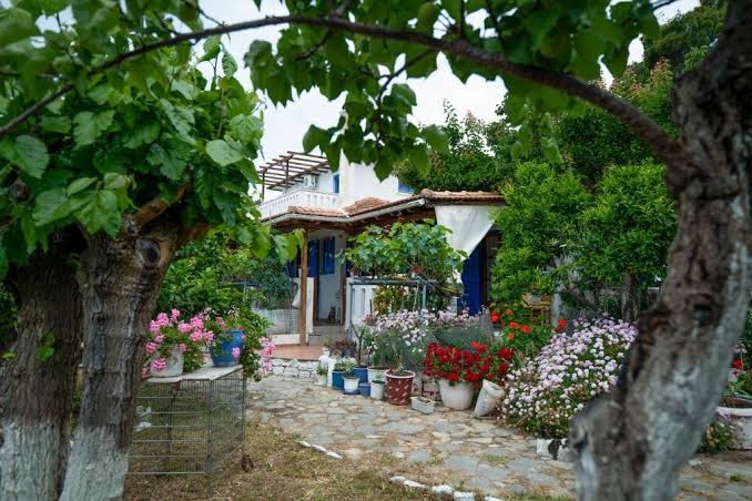 Alonissos Beach Bungalows And Suites Hotel