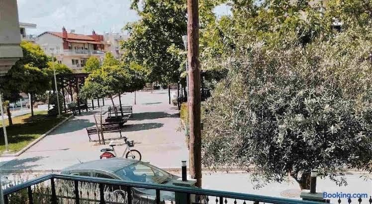 Delmare Dion Apartment