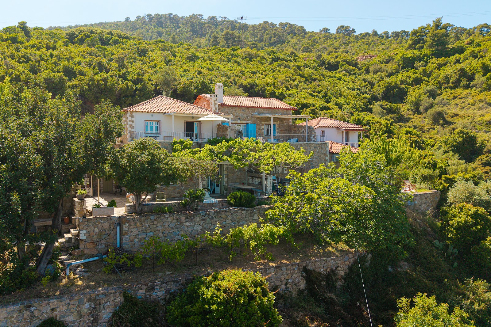 ILYA BOTANIC SUITES ALONISSOS