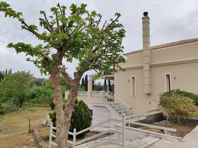 Joanna Deluxe Apartment