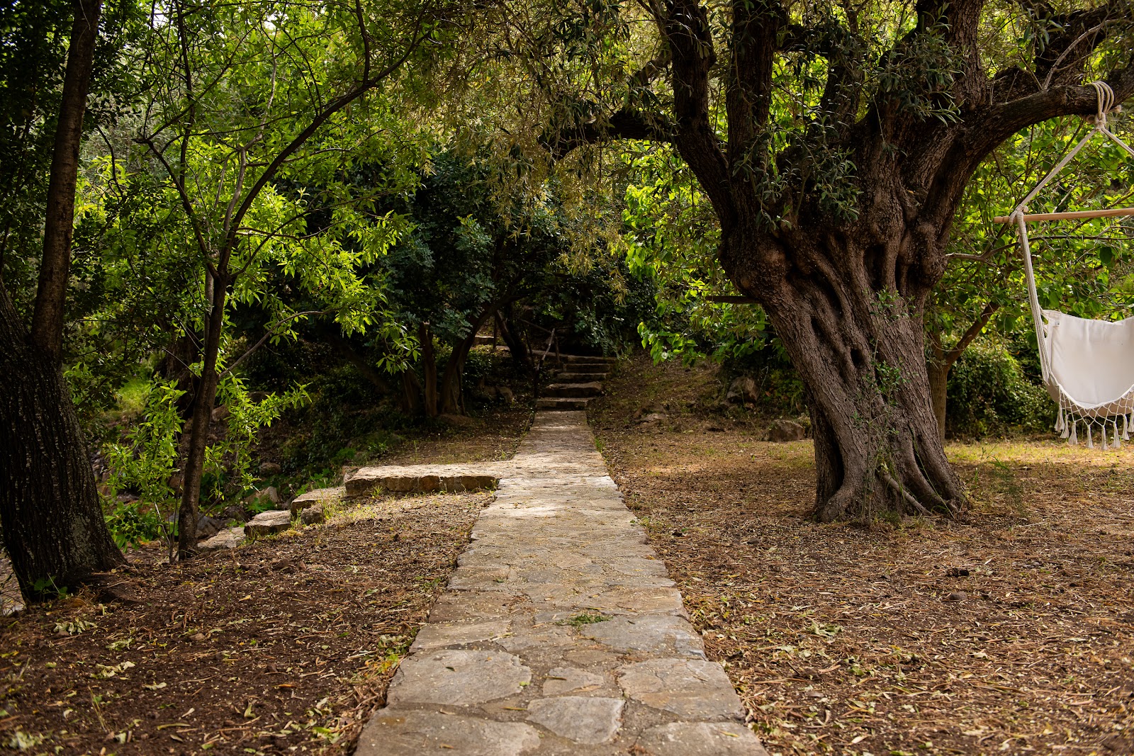 Lithea Villas & Studios By the Sea